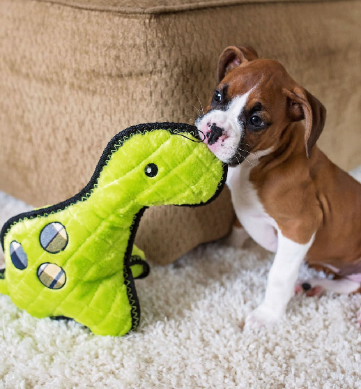 Juguetes para mascotas.